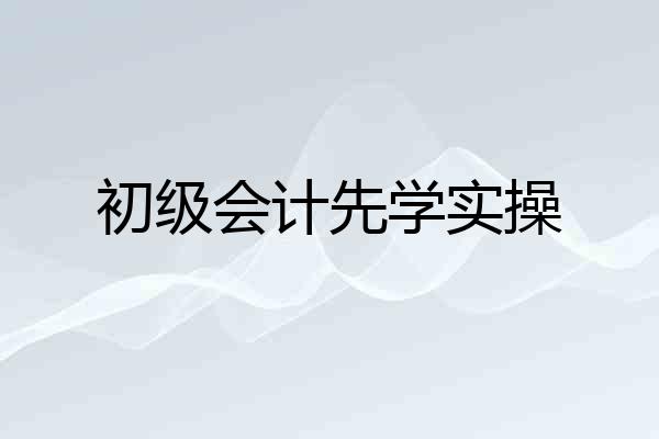 初级会计先学实操