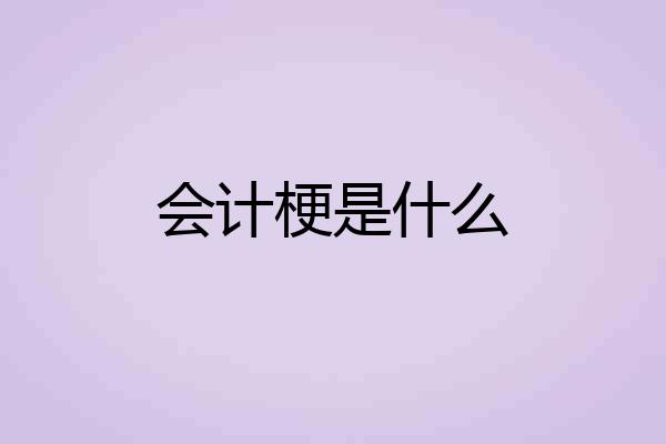 会计梗是什么