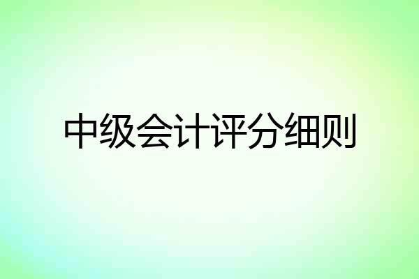 中级会计评分细则