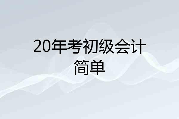 20年考初级会计简单