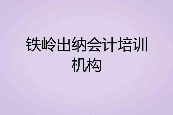 铁岭出纳会计培训机构