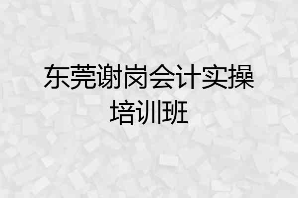 东莞谢岗会计实操培训班