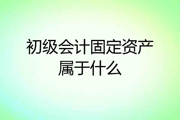 初级会计固定资产属于什么