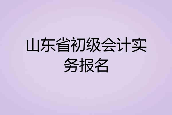 山东省初级会计实务报名