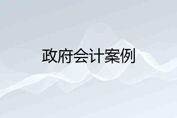 政府会计案例