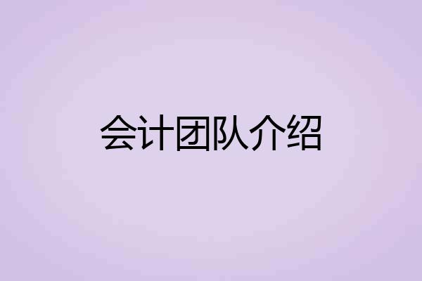会计团队介绍