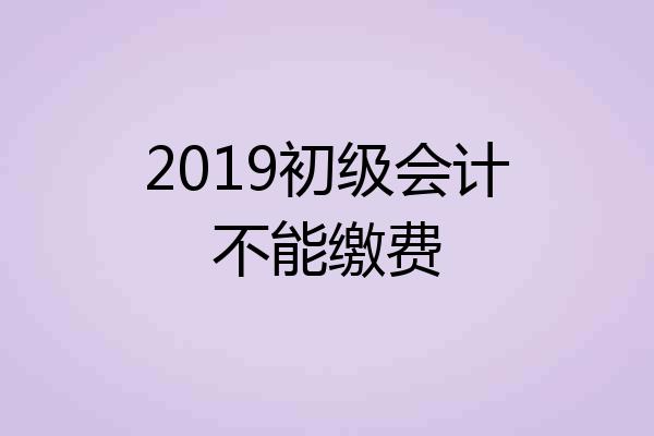 2019初级会计不能缴费