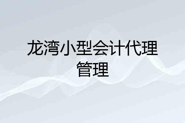 龙湾小型会计代理管理