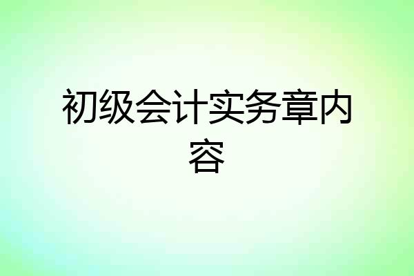 初级会计实务章内容
