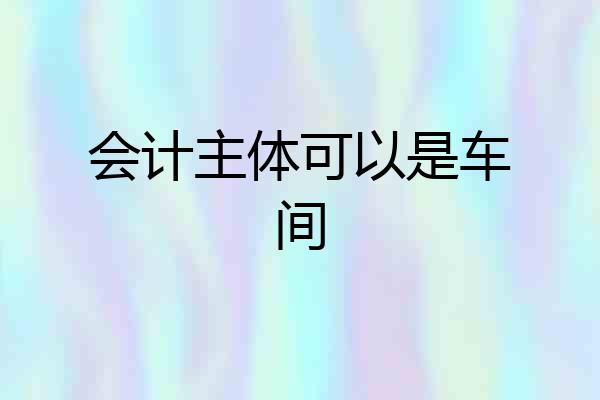 会计主体可以是车间