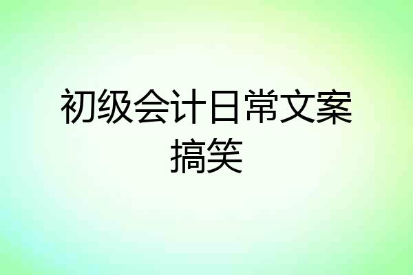 初级会计日常文案搞笑
