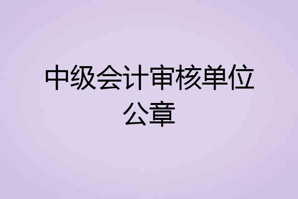 中级会计审核单位公章