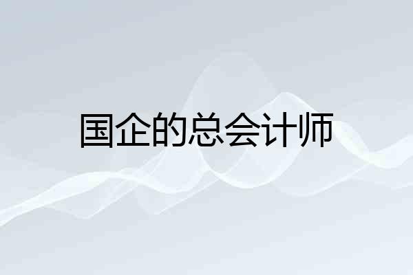 国企的总会计师