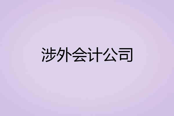 涉外会计公司