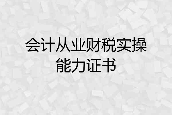 会计从业财税实操能力证书