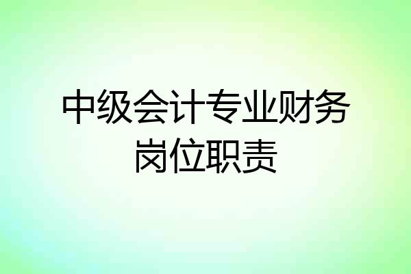 中级会计专业财务岗位职责