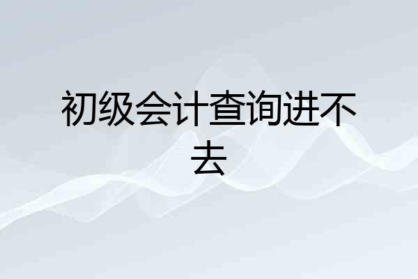 初级会计查询进不去