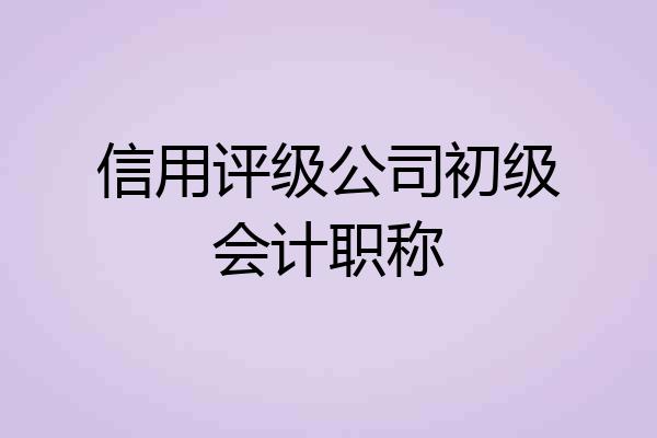 信用评级公司初级会计职称