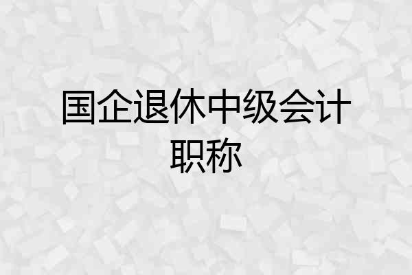 国企退休中级会计职称