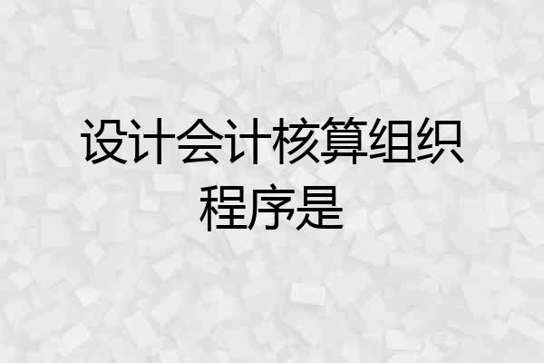 设计会计核算组织程序是