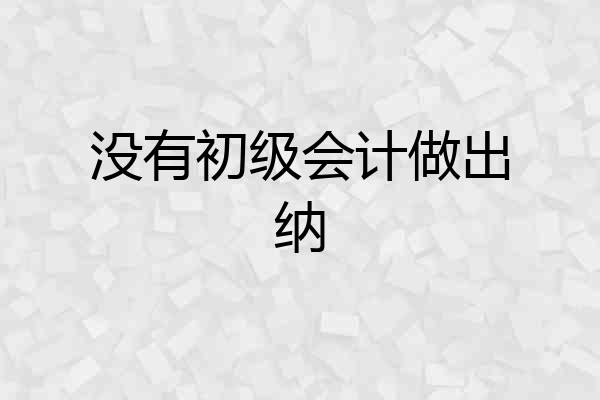 没有初级会计做出纳