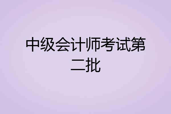中级会计师考试第二批