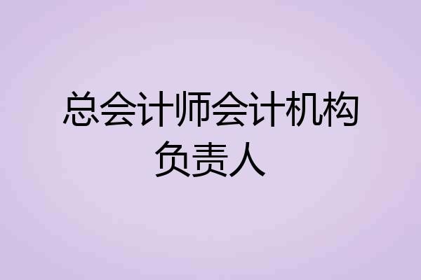 总会计师会计机构负责人