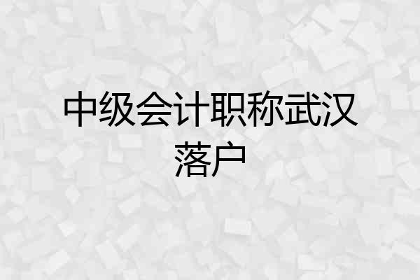 中级会计职称武汉落户