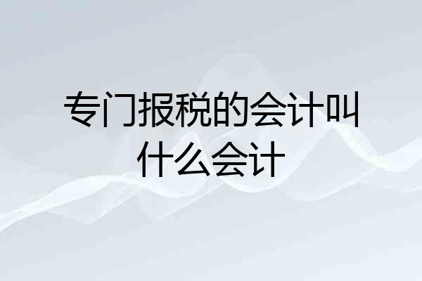 专门报税的会计叫什么会计