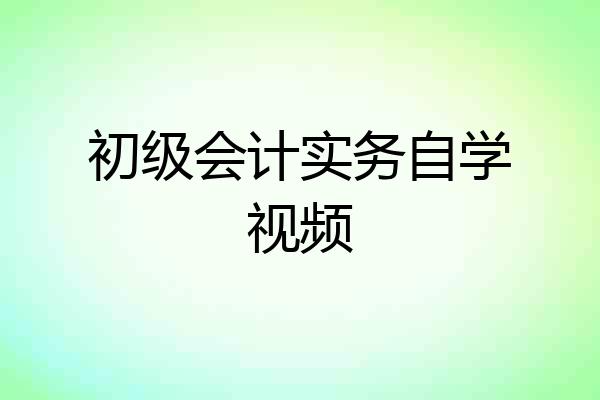 初级会计实务自学视频