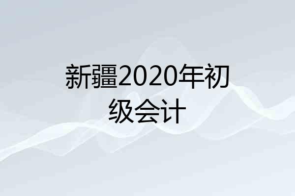 新疆2020年初级会计