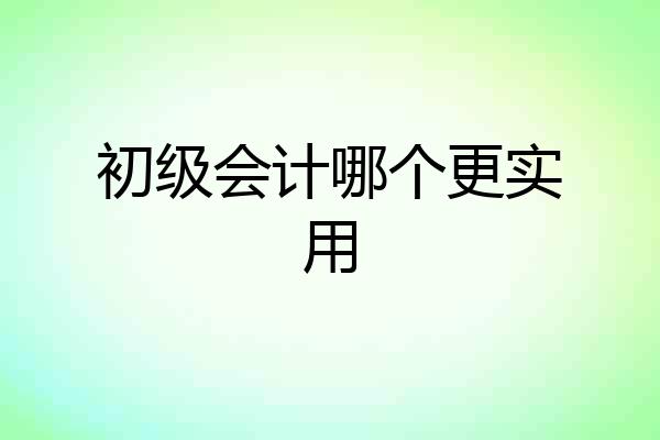 初级会计哪个更实用