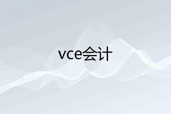 vce会计