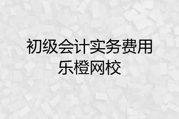 初级会计实务费用乐橙网校