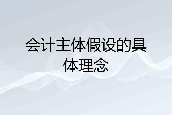 会计主体假设的具体理念