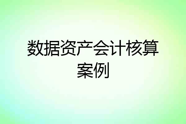 数据资产会计核算案例