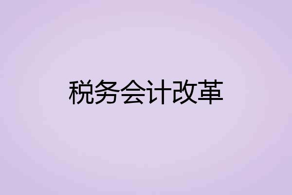 税务会计改革