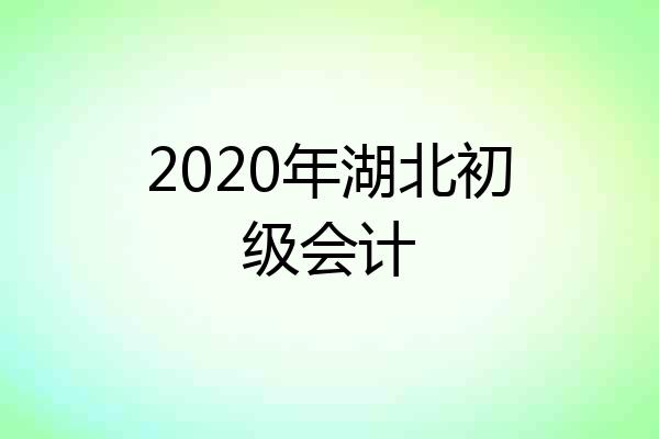 2020年湖北初级会计