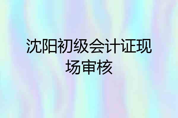 沈阳初级会计证现场审核