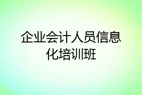 企业会计人员信息化培训班