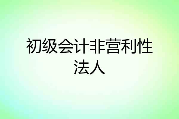 初级会计非营利性法人