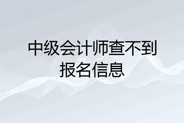中级会计师查不到报名信息