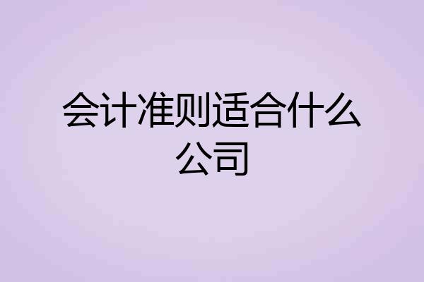 会计准则适合什么公司