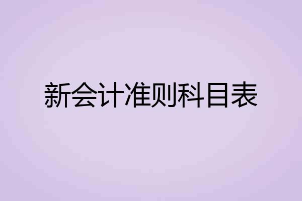 新会计准则科目表