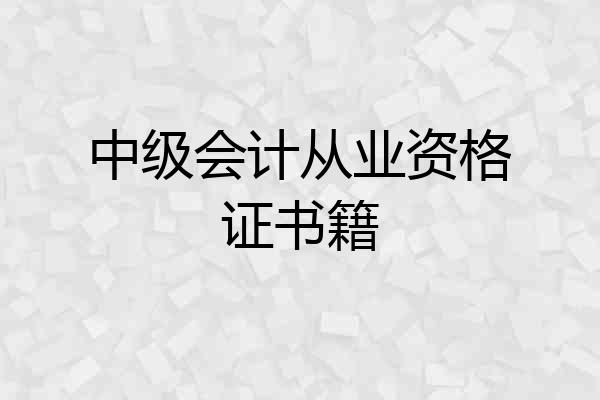 中级会计从业资格证书籍