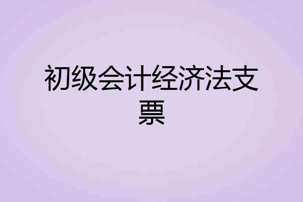 初级会计经济法支票