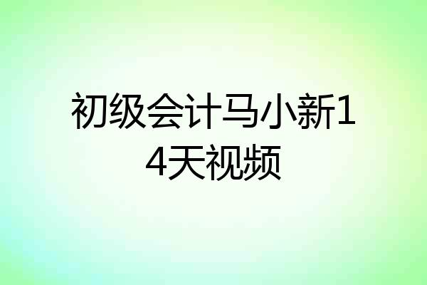 初级会计马小新14天视频