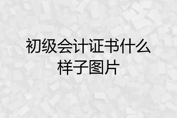 初级会计证书什么样子图片