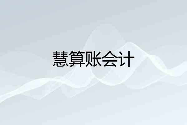 慧算账会计