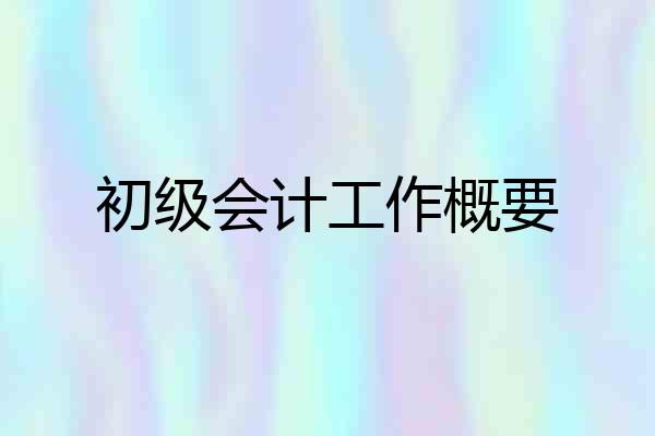 初级会计工作概要